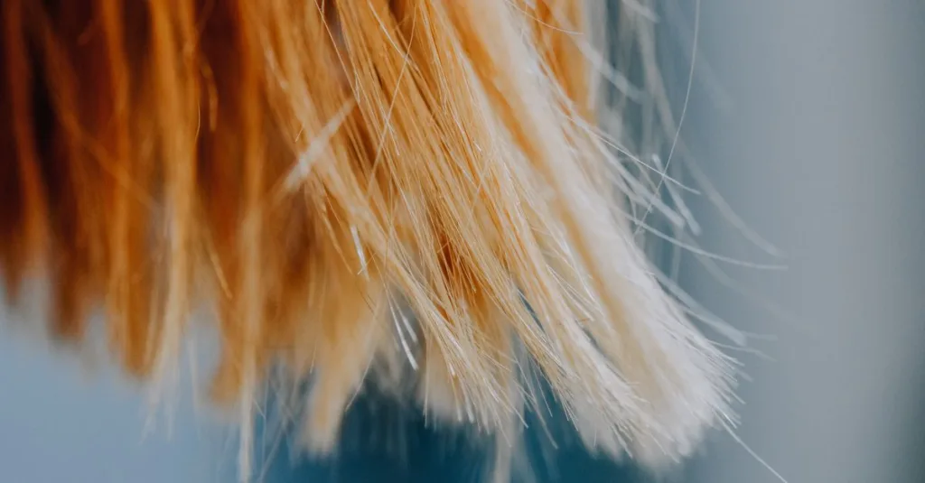 masque capillaire pour cheveux fins : hydratez et renforcez vos cheveux délicats pour plus de volume et de douceur.